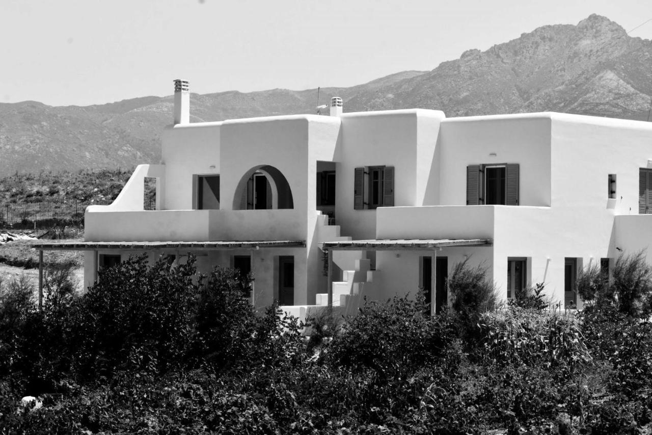 Relaxia Estate Naxos Apartment Galini  Ngoại thất bức ảnh