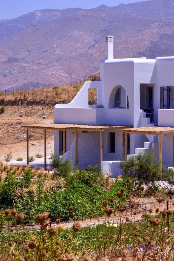 Relaxia Estate Naxos Apartment Galini  Ngoại thất bức ảnh